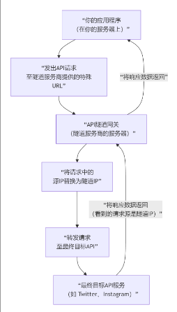 什么是api隧道ip